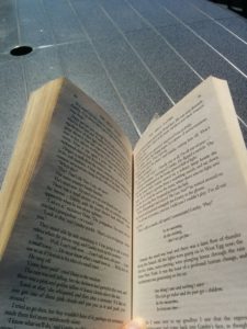 boek lezen in de zon