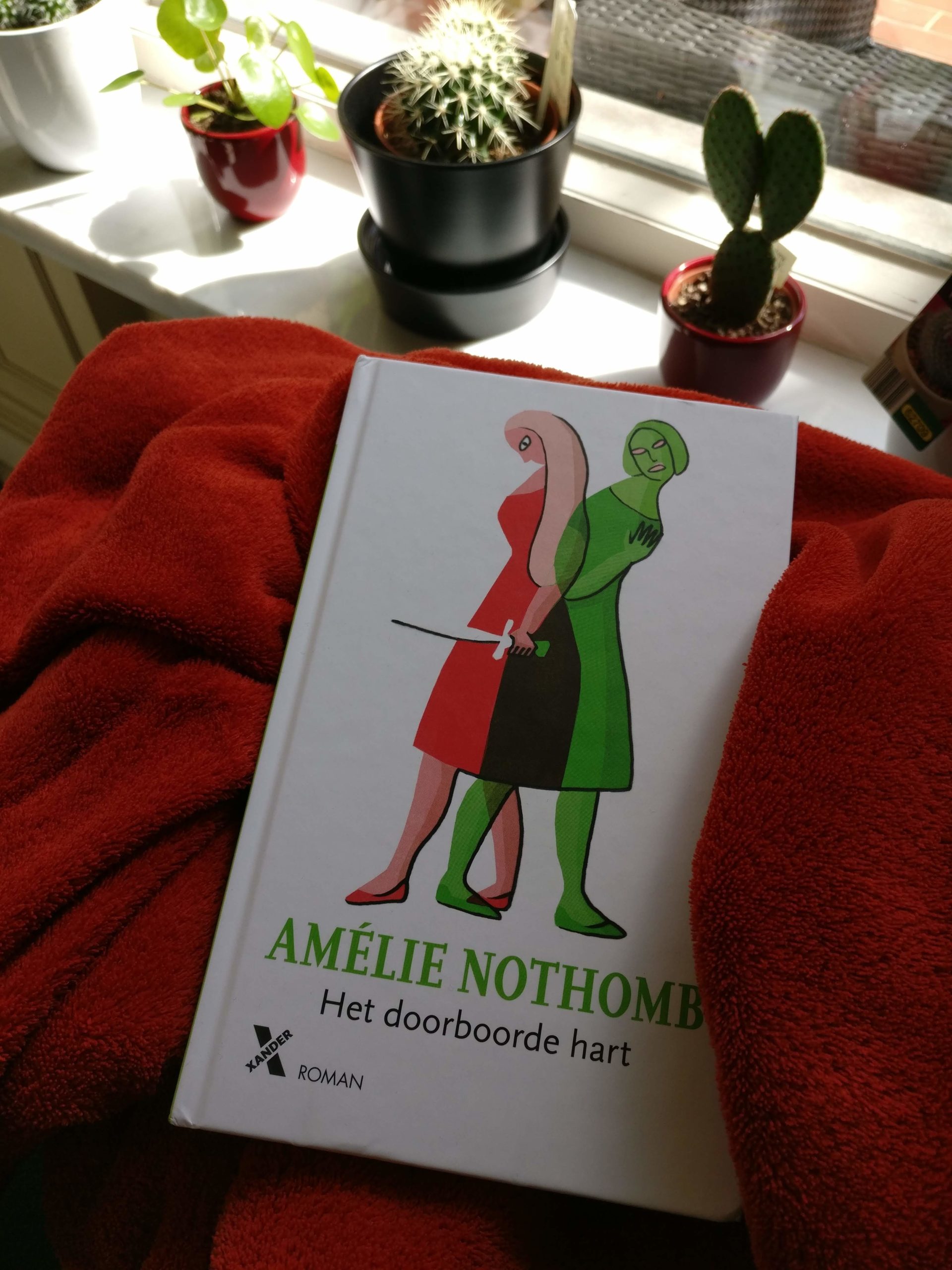 Het doorboorde hart - Amélie Nothomb