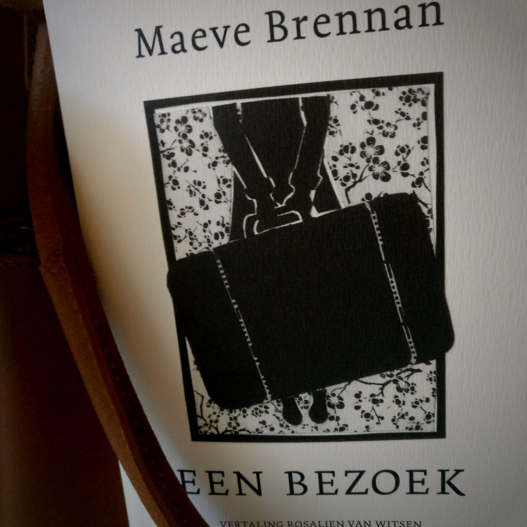 Een bezoek - Maeve Brennan