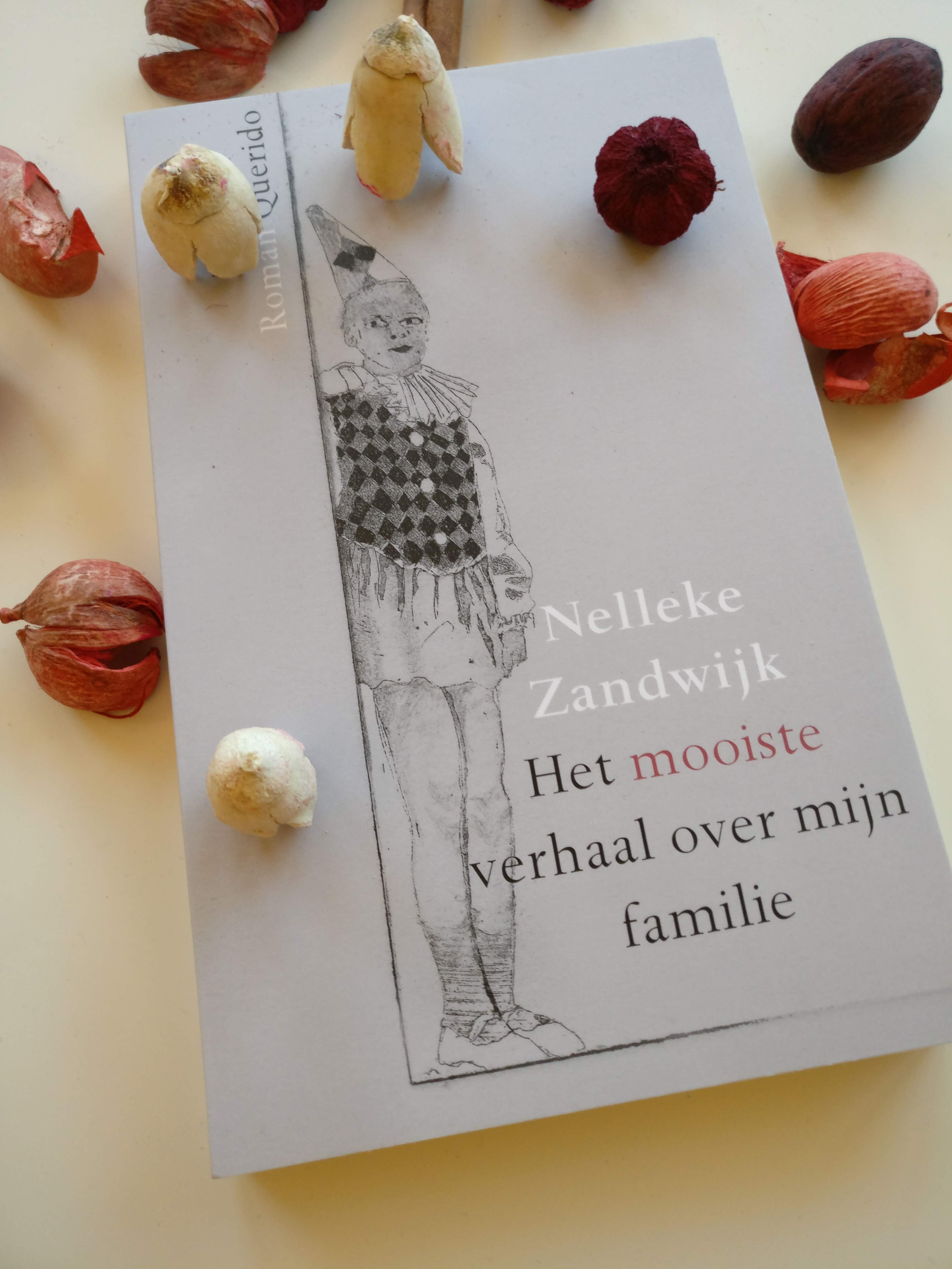 Het Mooiste Verhaal Over Mijn Familie - Nelleke Zandwijk - Boekenblog